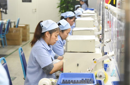 袁州區(qū) 產(chǎn)品出海勢頭勁，企業(yè)生產(chǎn)倉儲忙